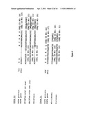 EGFR AND KRAS MUTATIONS diagram and image