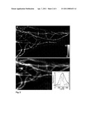 High Spatial Resolution Imaging of a Structure of Interest in a Specimen diagram and image