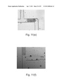 MULTIPURPOSE MICROFLUIDIC DEVICE FOR MIMICKING A MICROENVIRONMENT WITHIN A TUMOR diagram and image