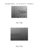 MULTIPURPOSE MICROFLUIDIC DEVICE FOR MIMICKING A MICROENVIRONMENT WITHIN A TUMOR diagram and image