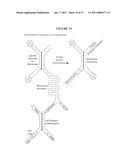 Active Microfluidic Membranes diagram and image