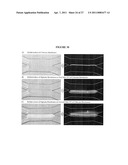 Active Microfluidic Membranes diagram and image