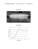 Active Microfluidic Membranes diagram and image