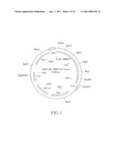 THERMOSTABLE REVERSE TRANSCRIPTASES AND USES THEREOF diagram and image