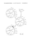 THERMOSTABLE REVERSE TRANSCRIPTASES AND USES THEREOF diagram and image