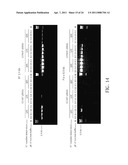 THERMOSTABLE REVERSE TRANSCRIPTASES AND USES THEREOF diagram and image