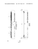 SYSTEM FOR PACKAGING HIGH-CAPACITY ADENOVIRUSES diagram and image