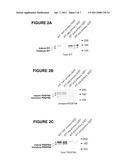 ACTIVATING MUTATIONS OF PLATELET DERIVED GROWTH FACTOR RECEPTOR ALPHA (PDGFRA) AS DIAGNOSTIC MARKERS AND THERAPEUTIC TARGET diagram and image