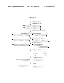 GENOME-WIDE SCREENING FOR SNPs AND MUTATIONS RELATED TO DISEASE CONDITIONS diagram and image