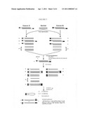 GENOME-WIDE SCREENING FOR SNPs AND MUTATIONS RELATED TO DISEASE CONDITIONS diagram and image