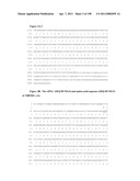 NUCLEIC ACIDS AND CORRESPONDING PROTEINS ENTITLED 158P3D2 USEFUL IN TREATMENT AND DETECTION OF CANCER diagram and image