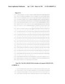 NUCLEIC ACIDS AND CORRESPONDING PROTEINS ENTITLED 158P3D2 USEFUL IN TREATMENT AND DETECTION OF CANCER diagram and image