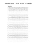 NUCLEIC ACIDS AND CORRESPONDING PROTEINS ENTITLED 158P3D2 USEFUL IN TREATMENT AND DETECTION OF CANCER diagram and image