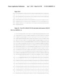 NUCLEIC ACIDS AND CORRESPONDING PROTEINS ENTITLED 158P3D2 USEFUL IN TREATMENT AND DETECTION OF CANCER diagram and image