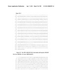 NUCLEIC ACIDS AND CORRESPONDING PROTEINS ENTITLED 158P3D2 USEFUL IN TREATMENT AND DETECTION OF CANCER diagram and image