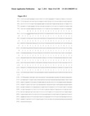 NUCLEIC ACIDS AND CORRESPONDING PROTEINS ENTITLED 158P3D2 USEFUL IN TREATMENT AND DETECTION OF CANCER diagram and image