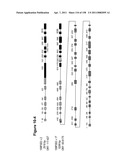 NUCLEIC ACIDS AND CORRESPONDING PROTEINS ENTITLED 158P3D2 USEFUL IN TREATMENT AND DETECTION OF CANCER diagram and image