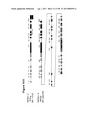 NUCLEIC ACIDS AND CORRESPONDING PROTEINS ENTITLED 158P3D2 USEFUL IN TREATMENT AND DETECTION OF CANCER diagram and image