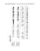 NUCLEIC ACIDS AND CORRESPONDING PROTEINS ENTITLED 158P3D2 USEFUL IN TREATMENT AND DETECTION OF CANCER diagram and image