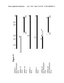 NUCLEIC ACIDS AND CORRESPONDING PROTEINS ENTITLED 158P3D2 USEFUL IN TREATMENT AND DETECTION OF CANCER diagram and image