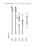 NUCLEIC ACIDS AND CORRESPONDING PROTEINS ENTITLED 158P3D2 USEFUL IN TREATMENT AND DETECTION OF CANCER diagram and image