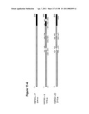 NUCLEIC ACIDS AND CORRESPONDING PROTEINS ENTITLED 158P3D2 USEFUL IN TREATMENT AND DETECTION OF CANCER diagram and image