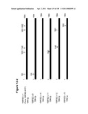 NUCLEIC ACIDS AND CORRESPONDING PROTEINS ENTITLED 158P3D2 USEFUL IN TREATMENT AND DETECTION OF CANCER diagram and image