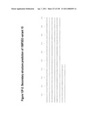 NUCLEIC ACIDS AND CORRESPONDING PROTEINS ENTITLED 158P3D2 USEFUL IN TREATMENT AND DETECTION OF CANCER diagram and image