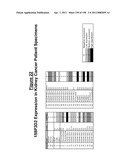 NUCLEIC ACIDS AND CORRESPONDING PROTEINS ENTITLED 158P3D2 USEFUL IN TREATMENT AND DETECTION OF CANCER diagram and image