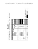 NUCLEIC ACIDS AND CORRESPONDING PROTEINS ENTITLED 158P3D2 USEFUL IN TREATMENT AND DETECTION OF CANCER diagram and image