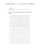 NUCLEIC ACIDS AND CORRESPONDING PROTEINS ENTITLED 158P3D2 USEFUL IN TREATMENT AND DETECTION OF CANCER diagram and image