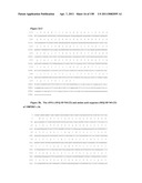 NUCLEIC ACIDS AND CORRESPONDING PROTEINS ENTITLED 158P3D2 USEFUL IN TREATMENT AND DETECTION OF CANCER diagram and image