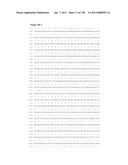 NUCLEIC ACIDS AND CORRESPONDING PROTEINS ENTITLED 158P3D2 USEFUL IN TREATMENT AND DETECTION OF CANCER diagram and image