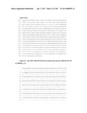 NUCLEIC ACIDS AND CORRESPONDING PROTEINS ENTITLED 158P3D2 USEFUL IN TREATMENT AND DETECTION OF CANCER diagram and image