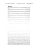 NUCLEIC ACIDS AND CORRESPONDING PROTEINS ENTITLED 158P3D2 USEFUL IN TREATMENT AND DETECTION OF CANCER diagram and image