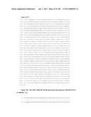 NUCLEIC ACIDS AND CORRESPONDING PROTEINS ENTITLED 158P3D2 USEFUL IN TREATMENT AND DETECTION OF CANCER diagram and image