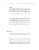 NUCLEIC ACIDS AND CORRESPONDING PROTEINS ENTITLED 158P3D2 USEFUL IN TREATMENT AND DETECTION OF CANCER diagram and image