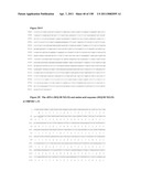 NUCLEIC ACIDS AND CORRESPONDING PROTEINS ENTITLED 158P3D2 USEFUL IN TREATMENT AND DETECTION OF CANCER diagram and image