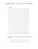 NUCLEIC ACIDS AND CORRESPONDING PROTEINS ENTITLED 158P3D2 USEFUL IN TREATMENT AND DETECTION OF CANCER diagram and image