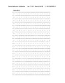 NUCLEIC ACIDS AND CORRESPONDING PROTEINS ENTITLED 158P3D2 USEFUL IN TREATMENT AND DETECTION OF CANCER diagram and image