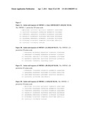 NUCLEIC ACIDS AND CORRESPONDING PROTEINS ENTITLED 158P3D2 USEFUL IN TREATMENT AND DETECTION OF CANCER diagram and image