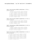 NUCLEIC ACIDS AND CORRESPONDING PROTEINS ENTITLED 158P3D2 USEFUL IN TREATMENT AND DETECTION OF CANCER diagram and image