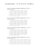 NUCLEIC ACIDS AND CORRESPONDING PROTEINS ENTITLED 158P3D2 USEFUL IN TREATMENT AND DETECTION OF CANCER diagram and image