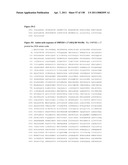 NUCLEIC ACIDS AND CORRESPONDING PROTEINS ENTITLED 158P3D2 USEFUL IN TREATMENT AND DETECTION OF CANCER diagram and image