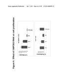 NUCLEIC ACIDS AND CORRESPONDING PROTEINS ENTITLED 158P3D2 USEFUL IN TREATMENT AND DETECTION OF CANCER diagram and image