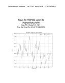 NUCLEIC ACIDS AND CORRESPONDING PROTEINS ENTITLED 158P3D2 USEFUL IN TREATMENT AND DETECTION OF CANCER diagram and image