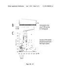 GENE AND PATHWAY AND THEIR USE IN METHODS AND COMPOSITIONS FOR PREDICTING ONSET OR PROGRESSION OF AUTOIMMUNE AND/OR AUTOINFLAMMATORY DISEASES diagram and image