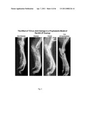 METHOD FOR TREATING INFLAMMATORY CONDITIONS diagram and image