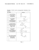 PHENYL PYRROLE AMINOGUANIDINE DERIVATIVES diagram and image