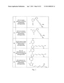 PHENYL PYRROLE AMINOGUANIDINE DERIVATIVES diagram and image